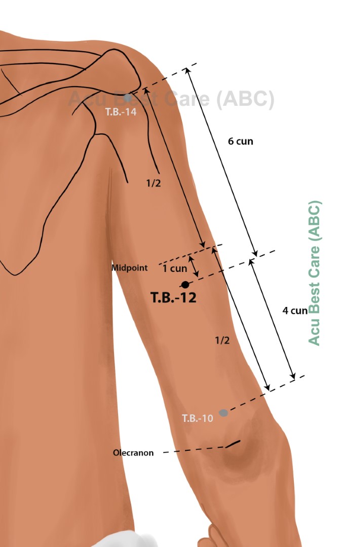 Acubestcare Meridian TW-12 or TB-12